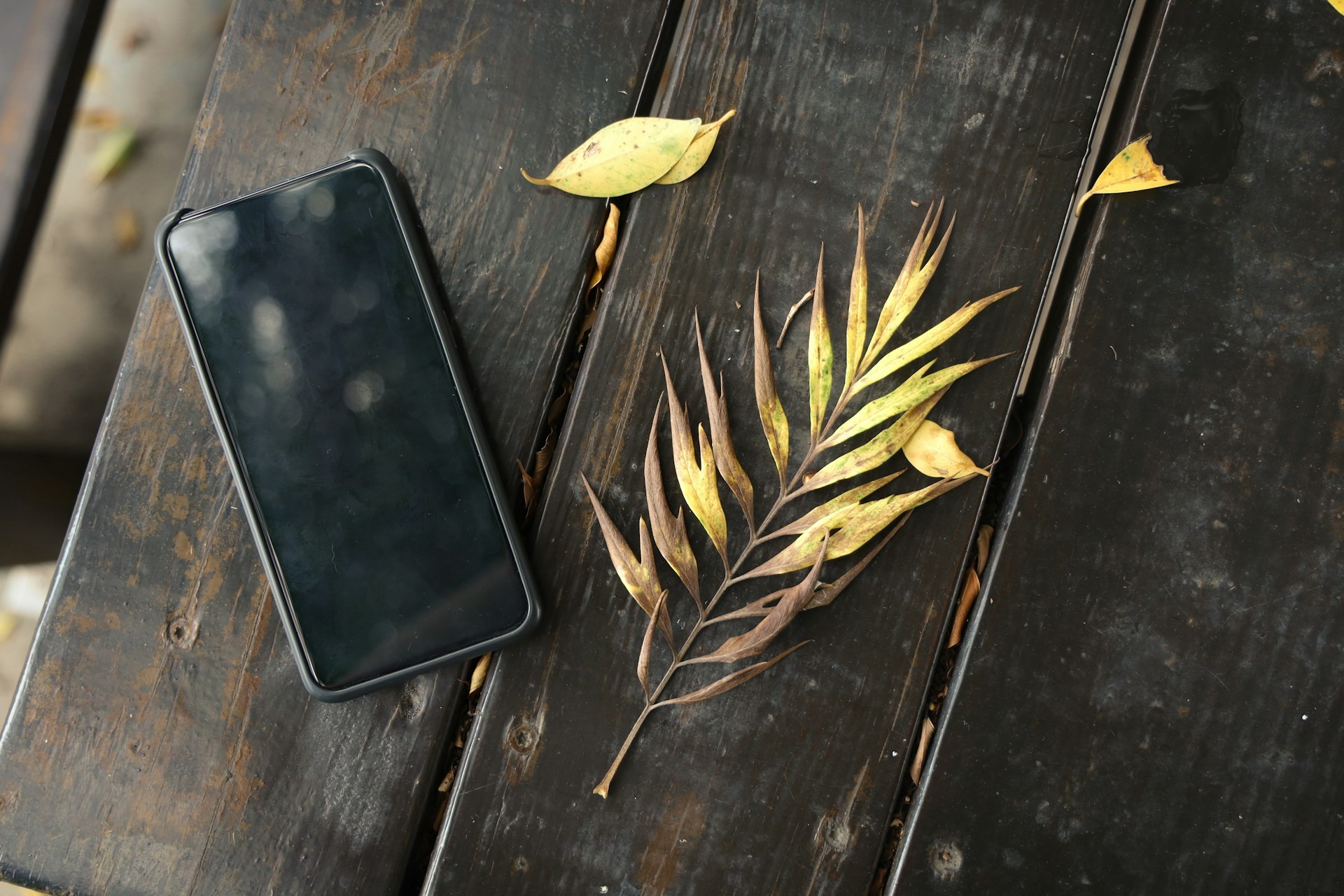 Banner Slide 1