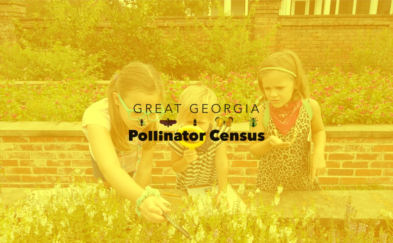 Home Pebble Hill Plantation