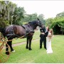 Click to enlarge image Horse & Carriage