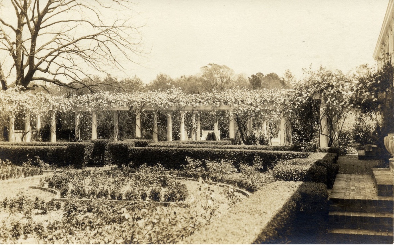 Boxwood hedge at arbor in 1936