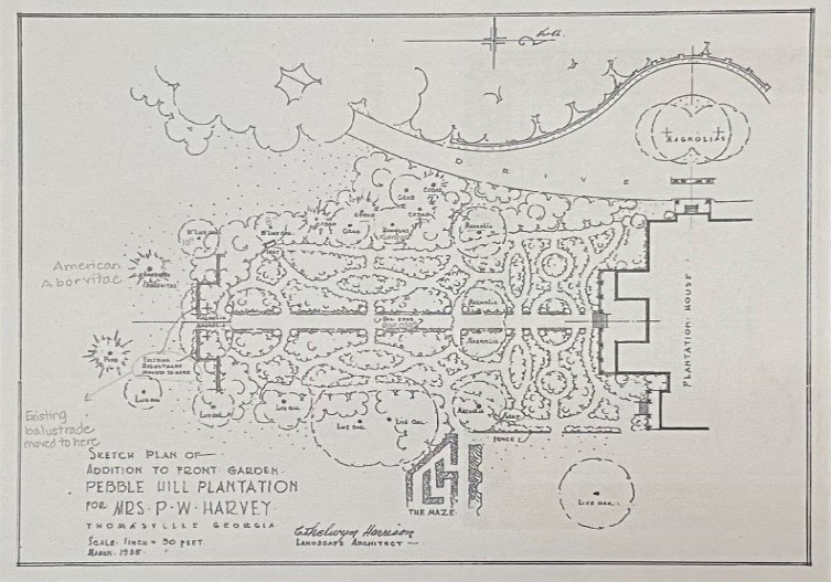 Caption: Miss Harrison’s 1935 sketch of the front garden