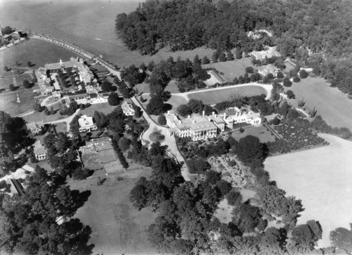 Caption: Aerial view showing the podocarpus maze circa 1938