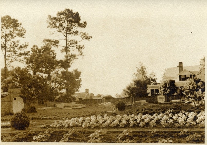 Caption: Kitchen Garden in 1936