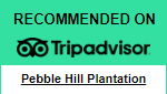 Recommended on tripadvisor